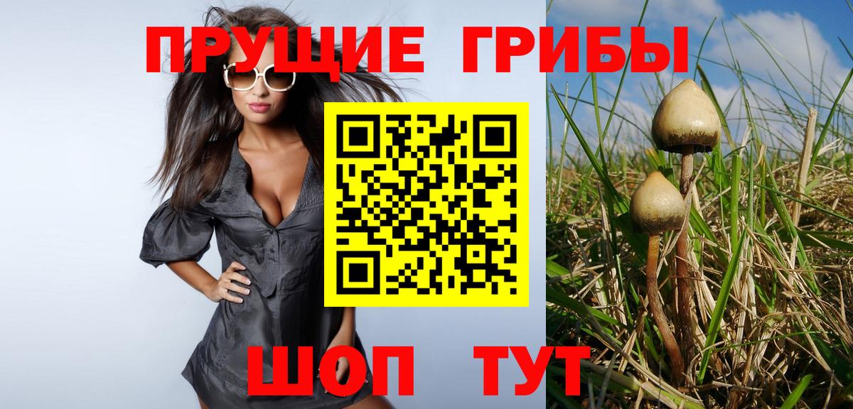 Псилоцибиновые грибы мухоморы Железногорск